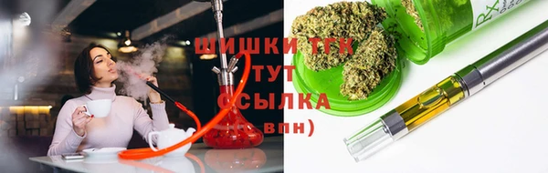 крисы Горно-Алтайск