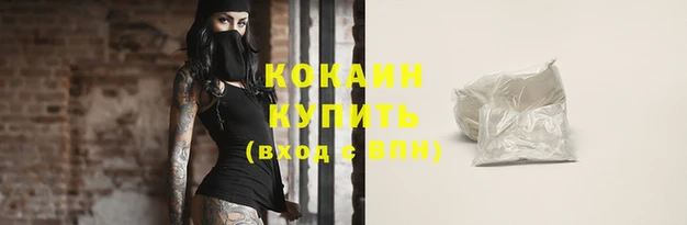 прущие грибы Горнозаводск