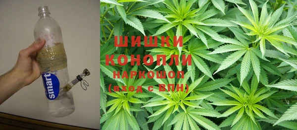 крисы Горно-Алтайск