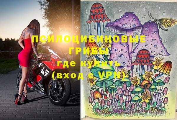 a pvp Вяземский