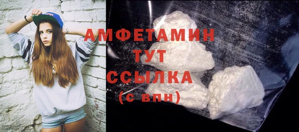 прущие грибы Горнозаводск