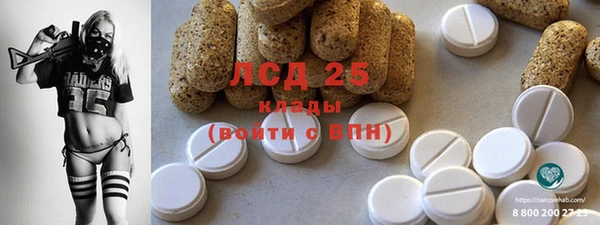 прущие грибы Горнозаводск