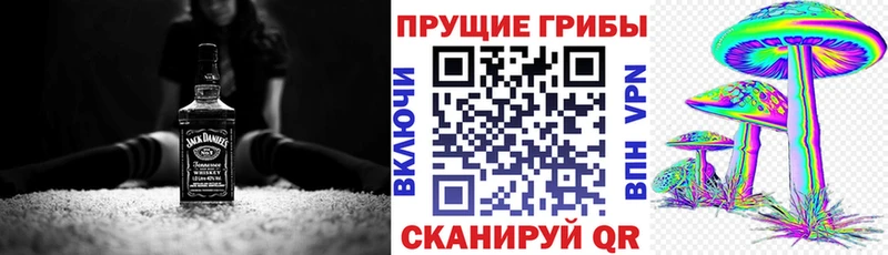 Галлюциногенные грибы мухоморы  Купить закладки  Черногорск 