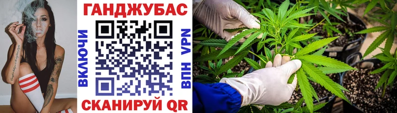 Купить закладки  Черногорск  Конопля Amnesia 
